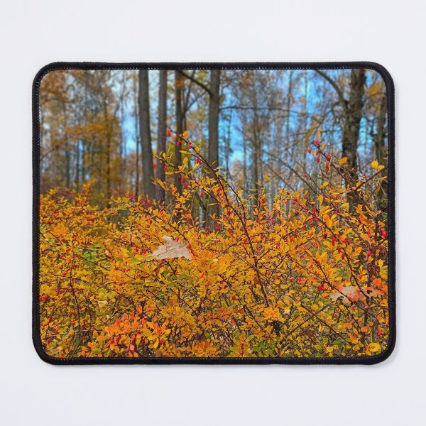 Item preview, Golden Autumn Forest: Vibrant Wild Barberry Bush designed and sold by Levorr.