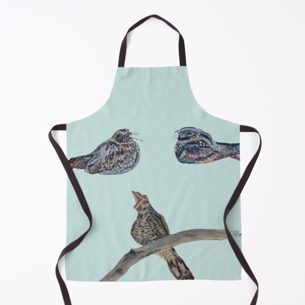 Item preview, Three Nightjars: Acrylic Painted designed and sold by Charlotte's Shop of Bird Stuff.