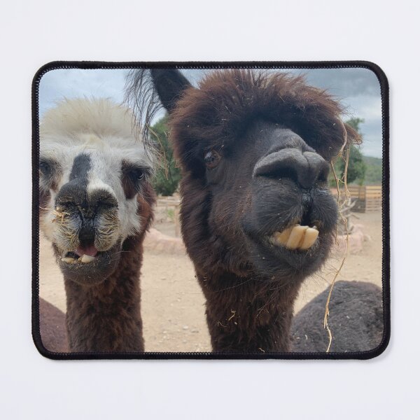 Item preview, alpacas designed and sold by emiliealexandra.