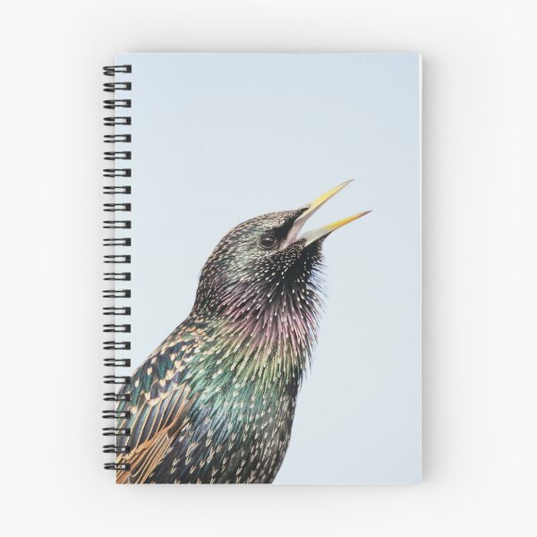 Item preview, Shining Starling designed and sold by miradorpictures.