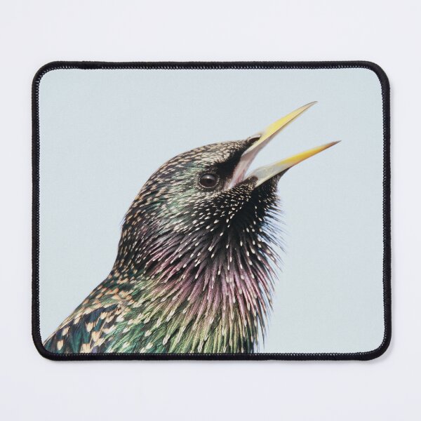 Item preview, Shining Starling designed and sold by miradorpictures.