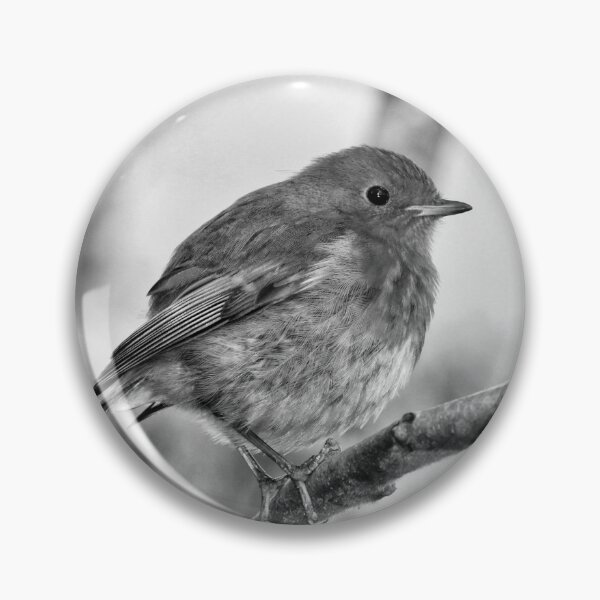 Item preview, European Robin Bird on Branch Black and White Fine Art Photography designed and sold by leonwoods.