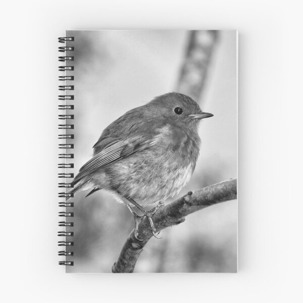 Item preview, European Robin Bird on Branch Black and White Fine Art Photography designed and sold by leonwoods.