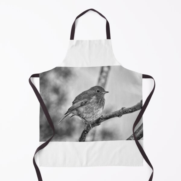 Item preview, European Robin Bird on Branch Black and White Fine Art Photography designed and sold by leonwoods.