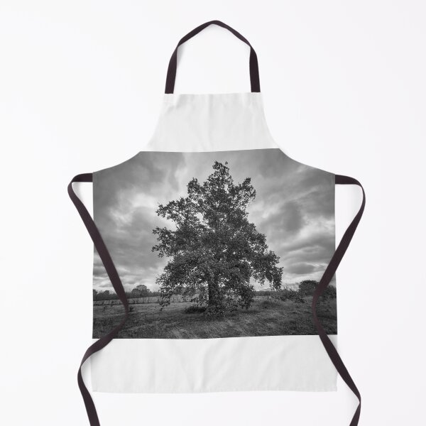 Item preview, Solitary Oak Tree Landscape Black and White Fine Art Photography designed and sold by leonwoods.