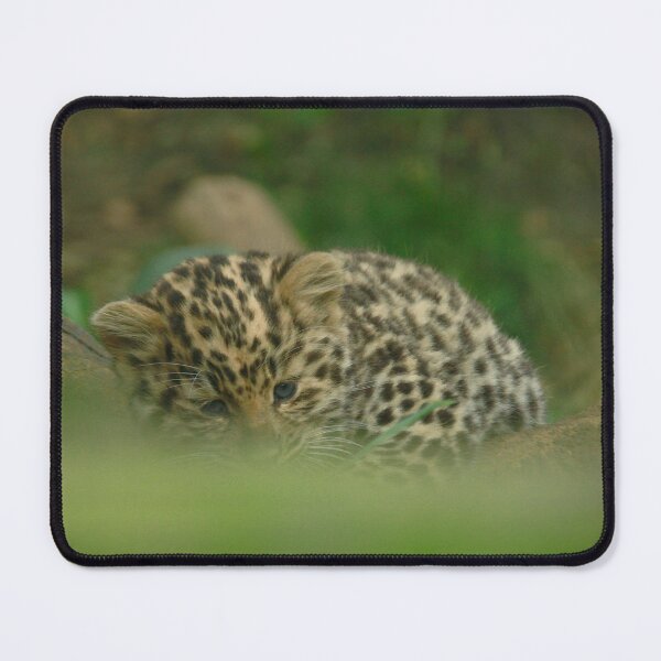 Item preview, Curled up  designed and sold by miradorpictures.