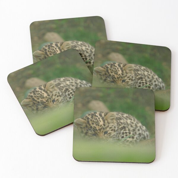 Item preview, Curled up  designed and sold by miradorpictures.