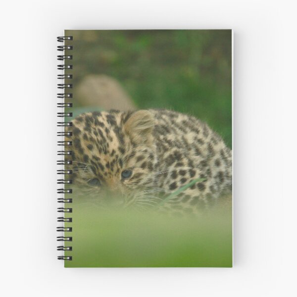 Item preview, Curled up  designed and sold by miradorpictures.