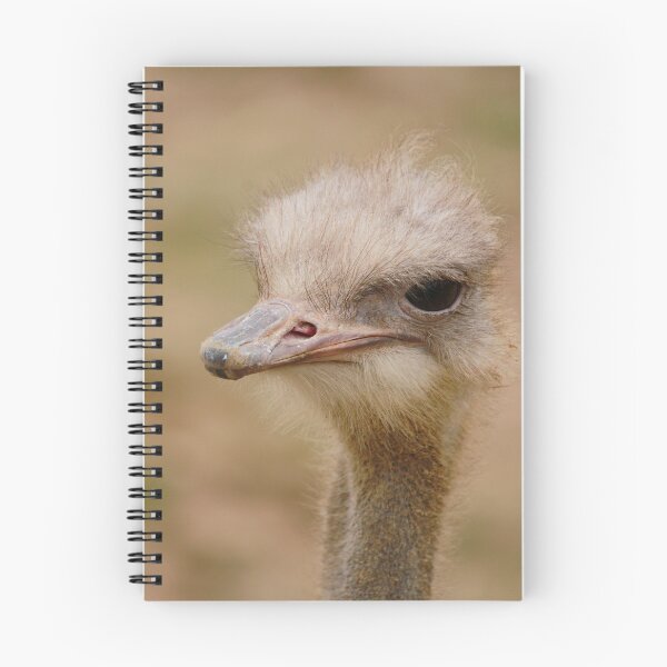 Item preview, Why the long neck  designed and sold by miradorpictures.