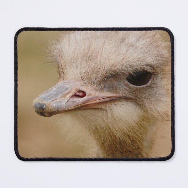 Item preview, Why the long neck  designed and sold by miradorpictures.