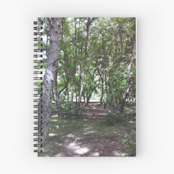 Item preview, Sunlit Forest Trees Nature Landscape designed and sold by calicito.