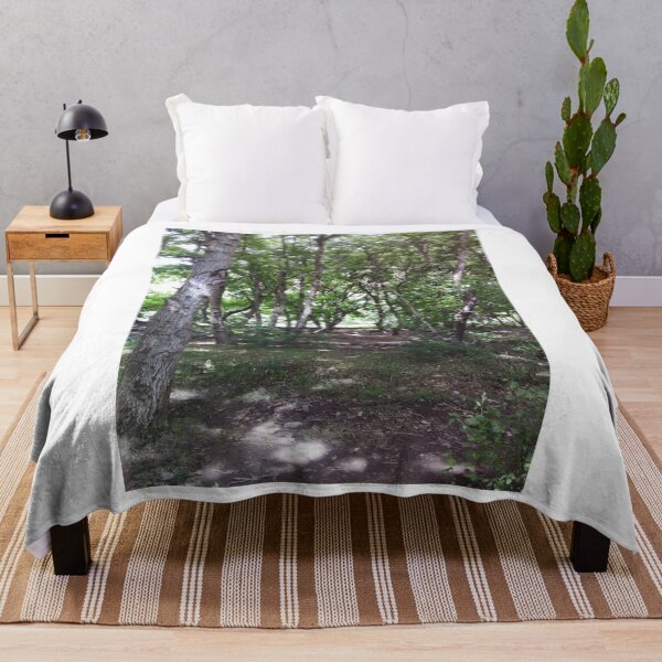 Item preview, Sunlit Forest Trees Nature Landscape designed and sold by calicito.