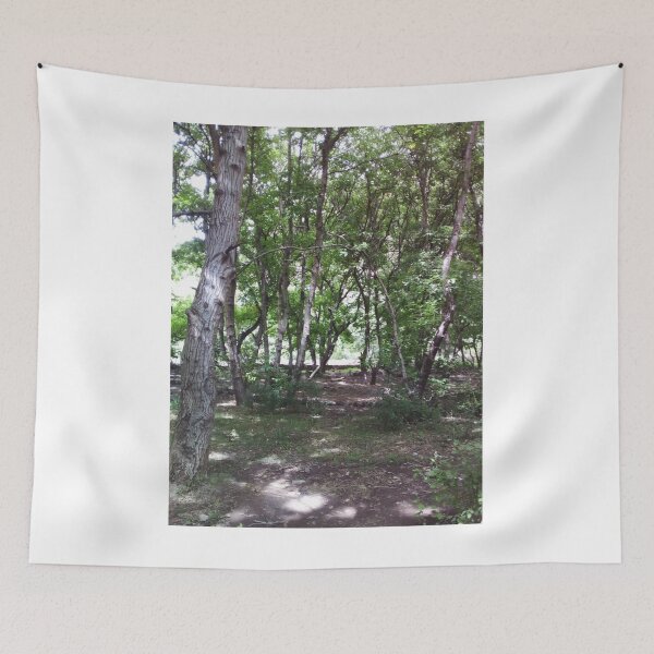 Item preview, Sunlit Forest Trees Nature Landscape designed and sold by calicito.