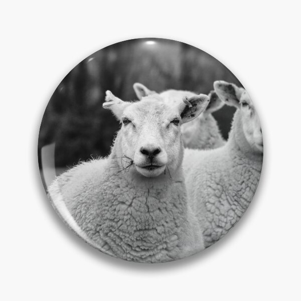 Item preview, Curious Flock of Sheep Farm Animal Black and White Photography designed and sold by leonwoods.