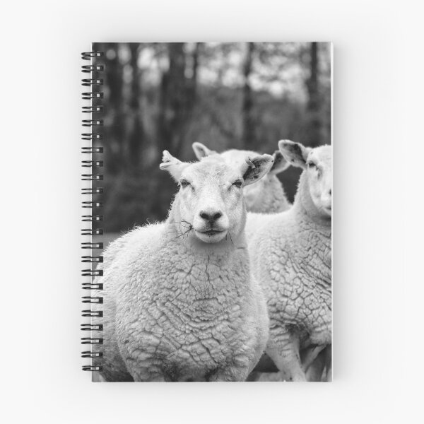 Item preview, Curious Flock of Sheep Farm Animal Black and White Photography designed and sold by leonwoods.
