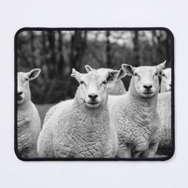 Item preview, Curious Flock of Sheep Farm Animal Black and White Photography designed and sold by leonwoods.