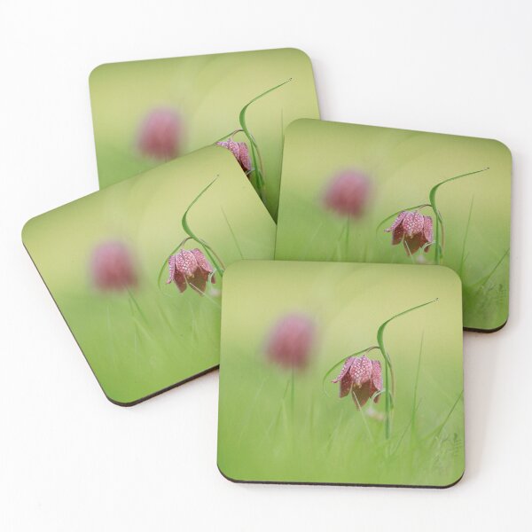 Item preview, Shakes head Fritillary! designed and sold by miradorpictures.