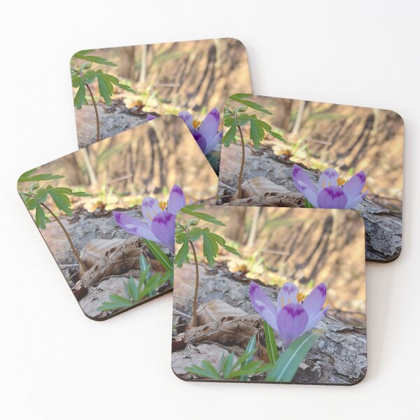 Item preview, Wild Purple Flower by a Forest log designed and sold by ObjectAndNature.