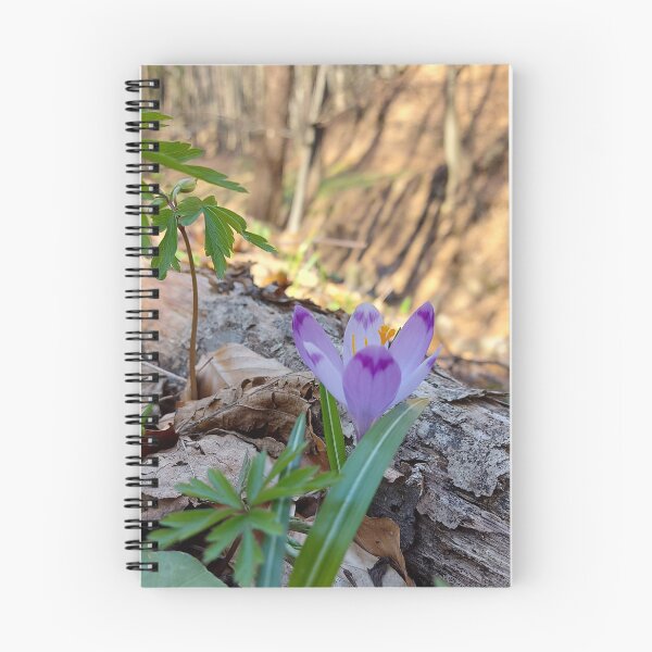Item preview, Wild Purple Flower by a Forest log designed and sold by ObjectAndNature.