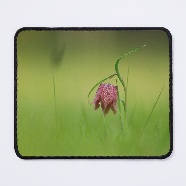 Item preview, The lonely flower  designed and sold by miradorpictures.