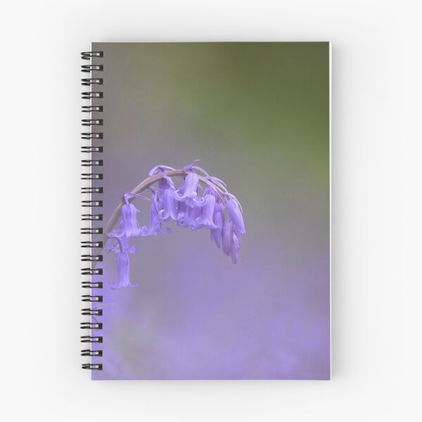 Item preview, Bluebell arch designed and sold by miradorpictures.