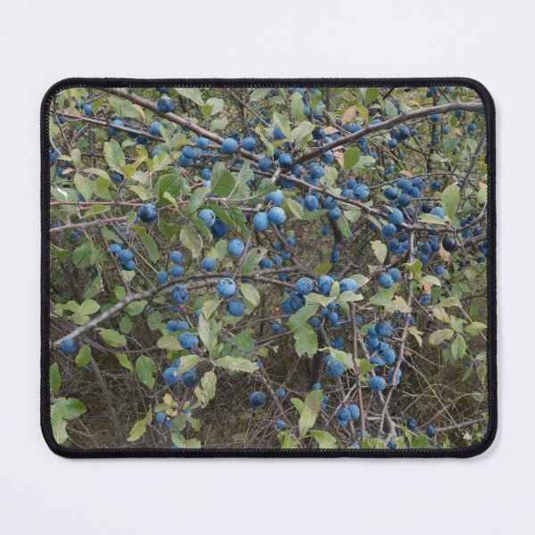 Item preview, Wild sloes – blueberries in summer designed and sold by Anuron.