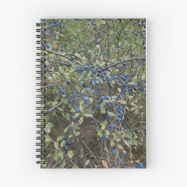 Item preview, Wild sloes – blueberries in summer designed and sold by Anuron.