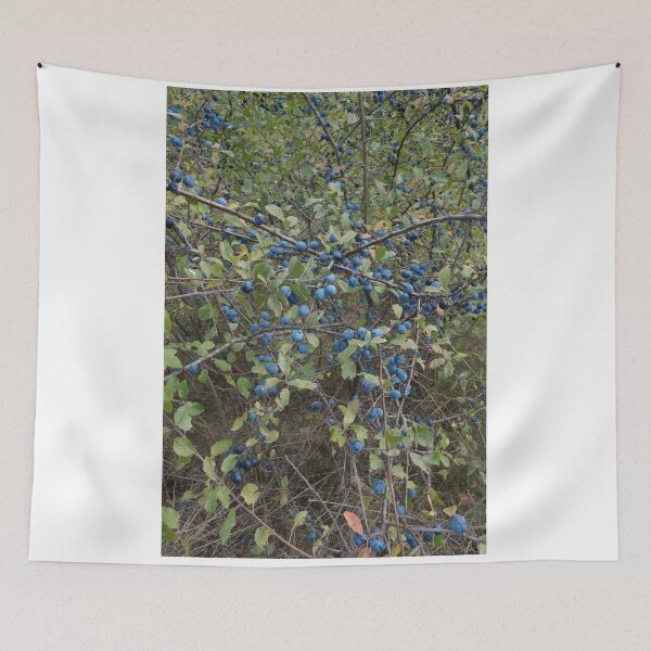Item preview, Wild sloes – blueberries in summer designed and sold by Anuron.