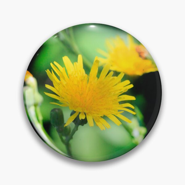 Item preview, Yellow flowers on black background designed and sold by olena2552.