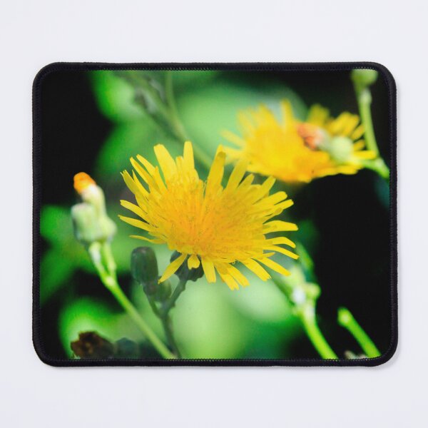 Item preview, Yellow flowers on black background designed and sold by olena2552.