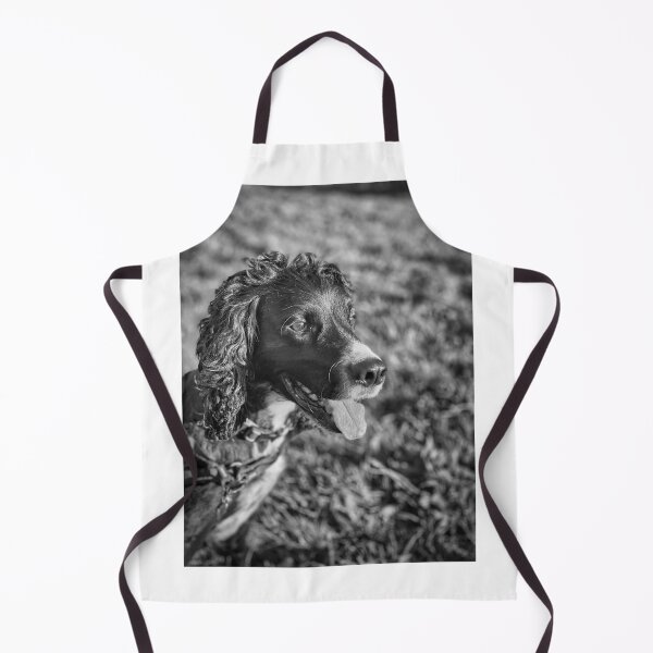 Item preview, Black and White Cocker Spaniel Portrait Fine Art Photography designed and sold by leonwoods.