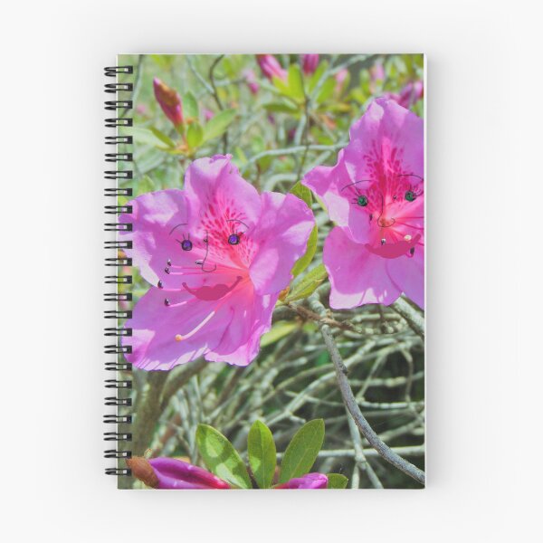 Item preview, Cute Pink Azalea Flowers wich Funny Faces. Kawaii Spring designed and sold by ollgast5.