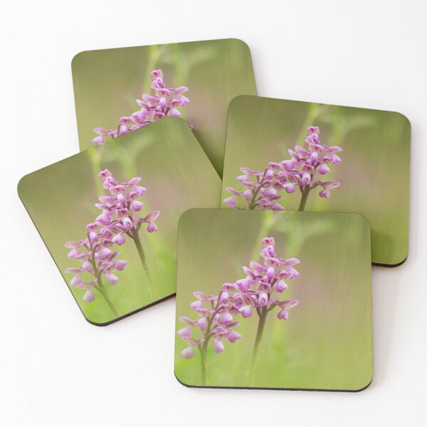 Item preview, Double blooms designed and sold by miradorpictures.