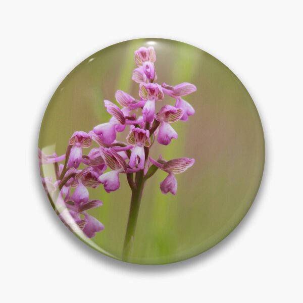 Item preview, Double blooms designed and sold by miradorpictures.