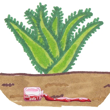 Artwork thumbnail, Aloe by A-P-Ink