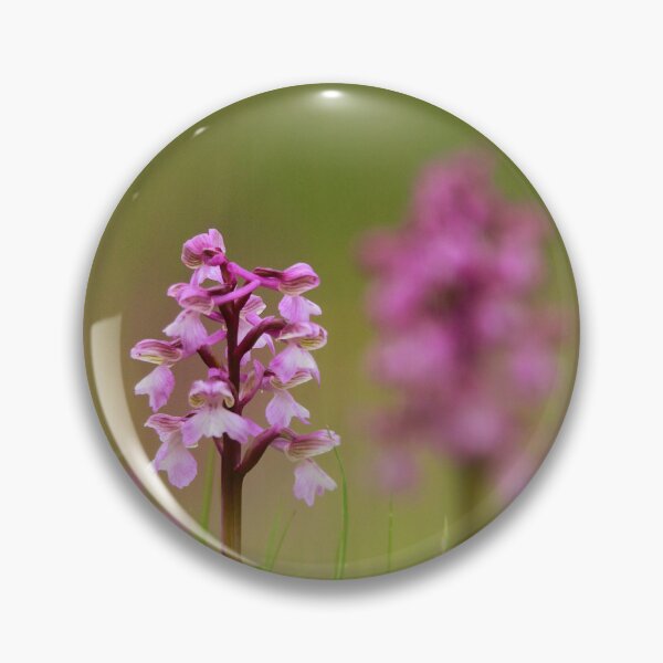 Item preview, Standing out from the crowd designed and sold by miradorpictures.