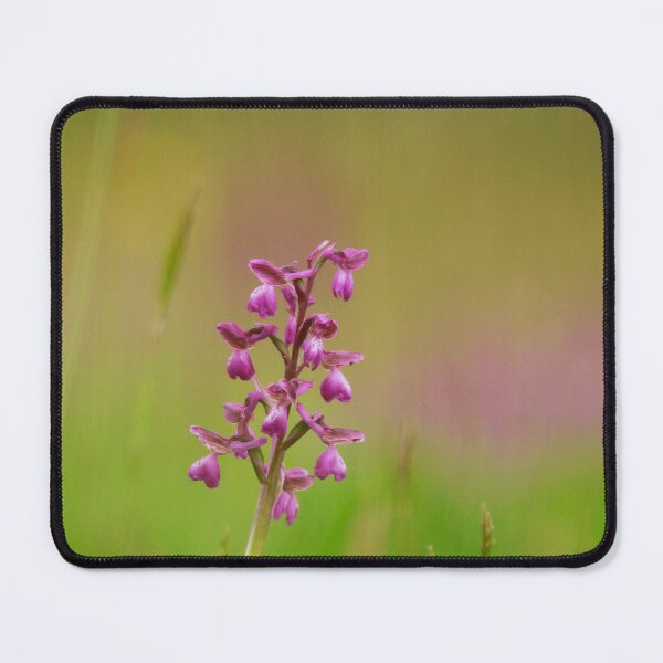 Item preview, Standing out  designed and sold by miradorpictures.