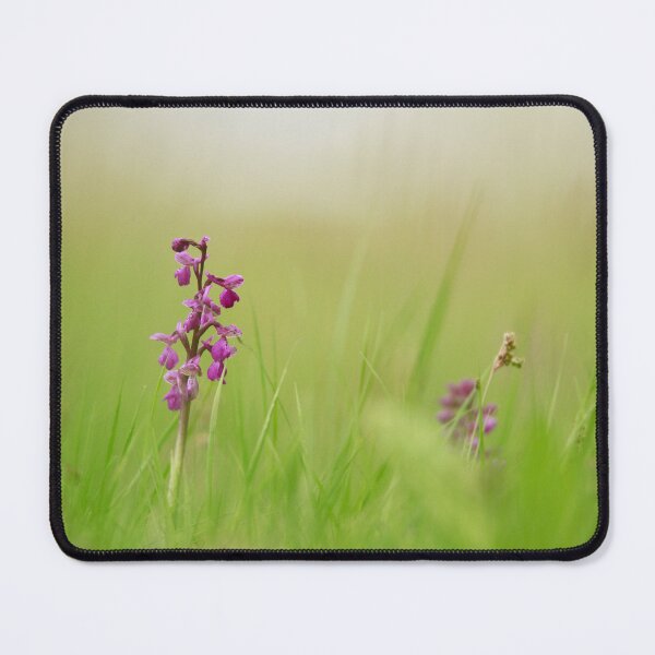 Item preview, Meadow view designed and sold by miradorpictures.