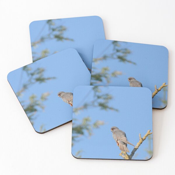 Item preview, Perched  designed and sold by miradorpictures.