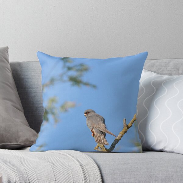 Item preview, Perched  designed and sold by miradorpictures.