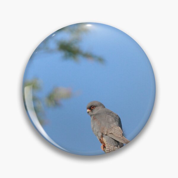 Item preview, Perched  designed and sold by miradorpictures.