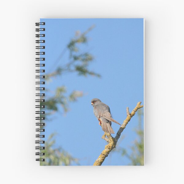Item preview, Perched  designed and sold by miradorpictures.