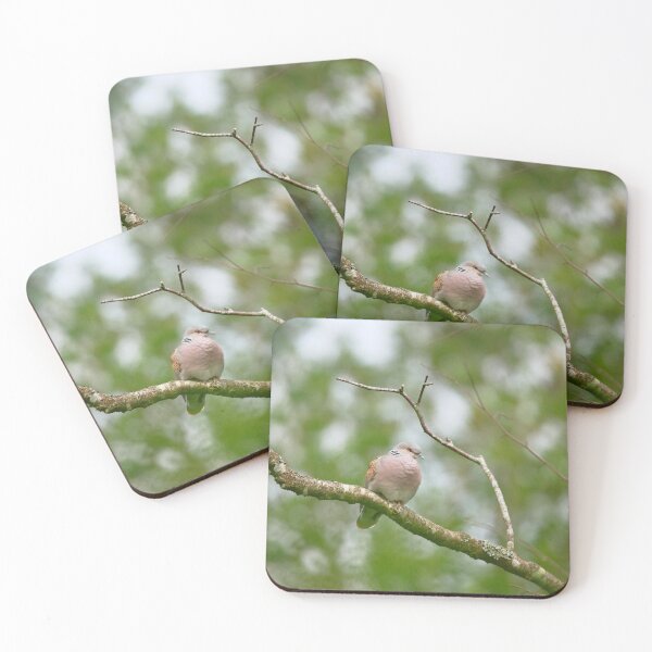 Item preview, Terrific turtle dove designed and sold by miradorpictures.