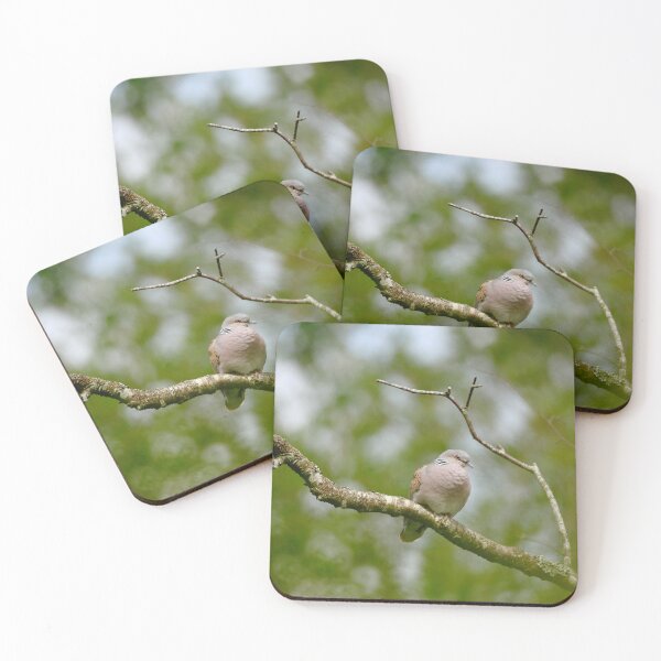 Item preview, One turtle dove! designed and sold by miradorpictures.