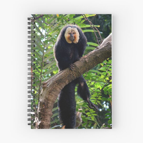 Item preview, White-Faced Saki on Tree Branch designed and sold by Savannah Gibbs.
