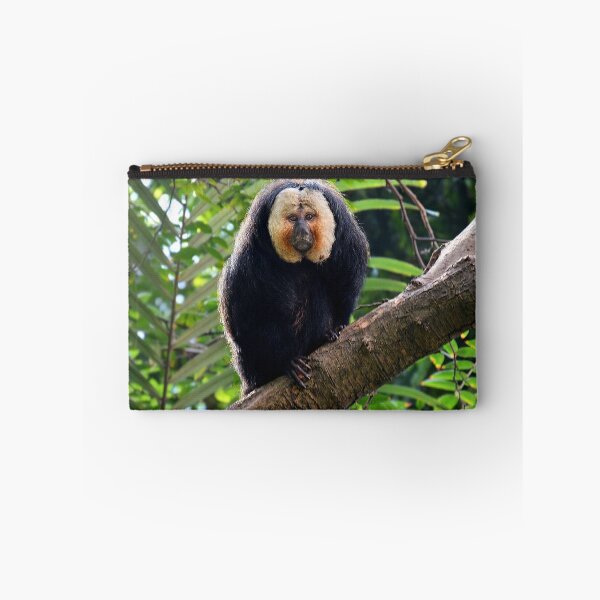 Item preview, White-Faced Saki on Tree Branch designed and sold by Savannah Gibbs.