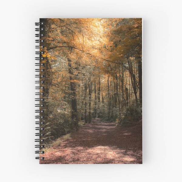 Item preview, Autumn  Light designed and sold by Christine Lake.