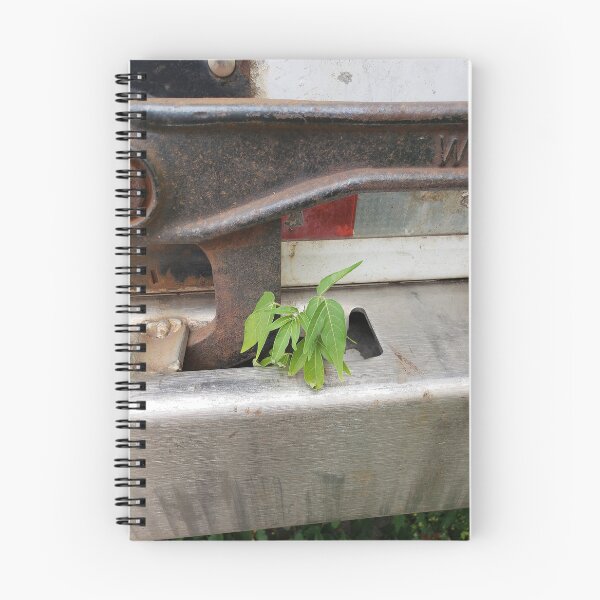 Item preview, Ailanthus in a Trailer Latch Well  designed and sold by concretebotany.