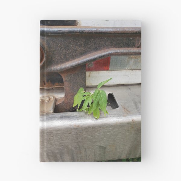 Item preview, Ailanthus in a Trailer Latch Well  designed and sold by concretebotany.