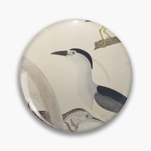 Item preview, 1800s Herons Bird Painting - A. Wilson designed and sold by cheeseburgercat.